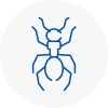 Ant Removals In Halewood