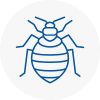 Bed Bug Extermination In Halewood