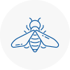 Bee Nest Removal Halewood
