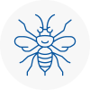 Halewood Hornet Nest Removals