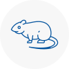 Rat Control Halewood
