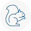 Halewood Rodent Removals